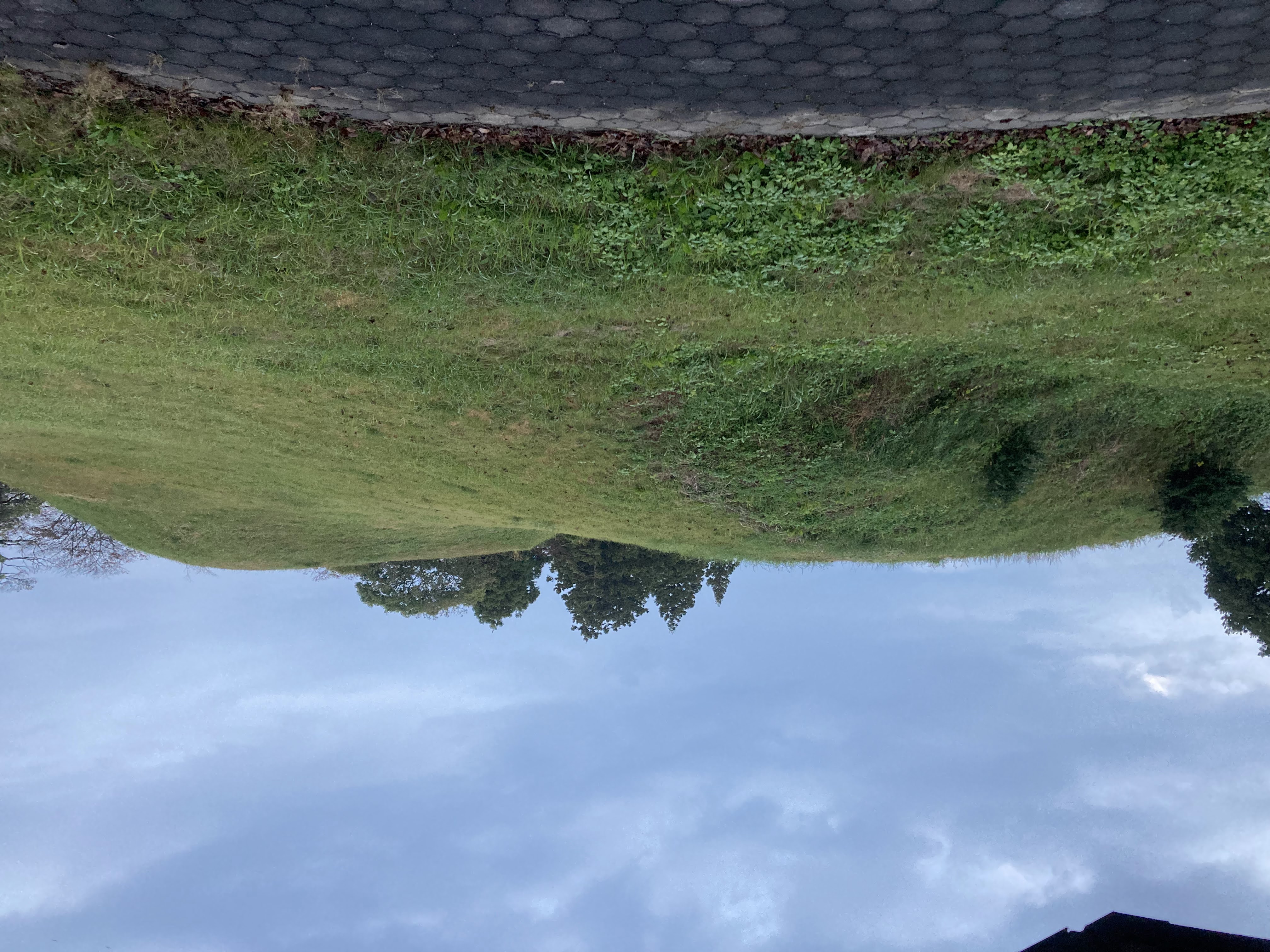 荒島古墳群