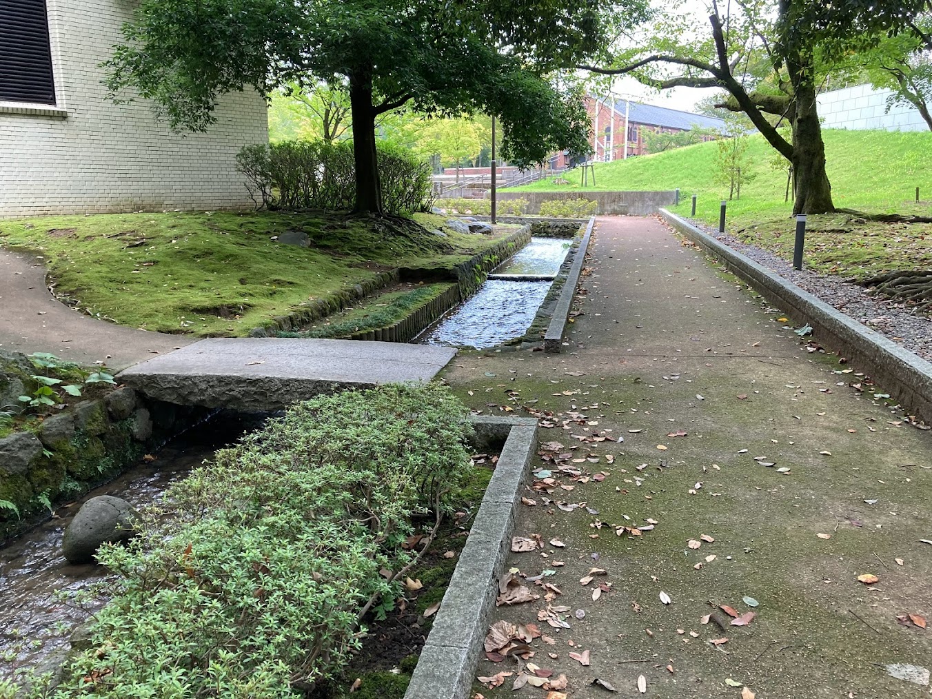 辰巳用水